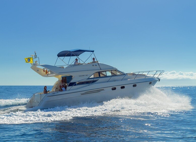 Picture 1 for Activity Las Galletas: Private Luxury Yacht Cruise with Lunch