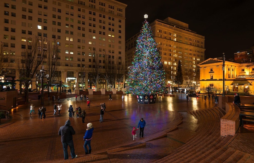 Picture 1 for Activity Portland: Guided Holiday Delicious Donut Tour with Tastings