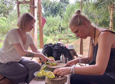 Luang Prabang: Erlebnis Biobauernhof & Wanderung nach Kuang si