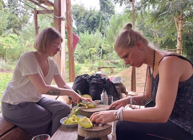 Luang Prabang : Expérience d'une ferme biologique et randonnée à Kuang si