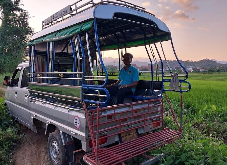 Picture 4 for Activity Luang Prabang: Organic Farm Experience & Hike to Kuang si