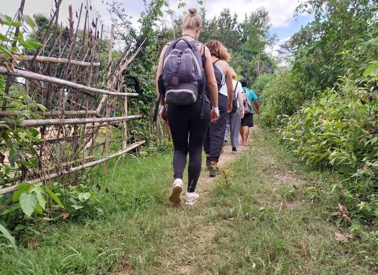 Picture 7 for Activity Luang Prabang: Organic Farm Experience & Hike to Kuang si