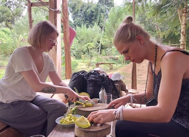 Luang Prabang: Organic Farm Experience & Hike to Kuang si