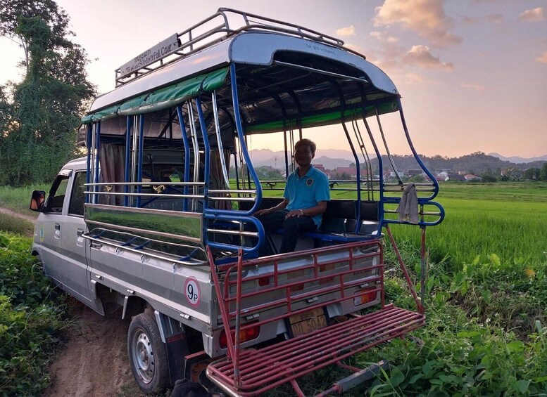 Picture 4 for Activity Luang Prabang: Organic Farm Experience & Hike to Kuang si