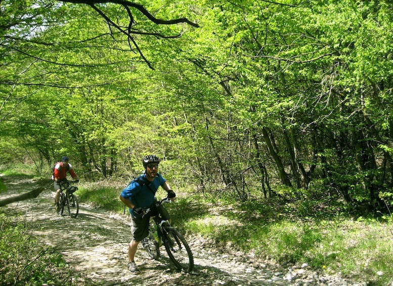 Picture 3 for Activity From Tbilisi: Rkoni Village Cycling Tour