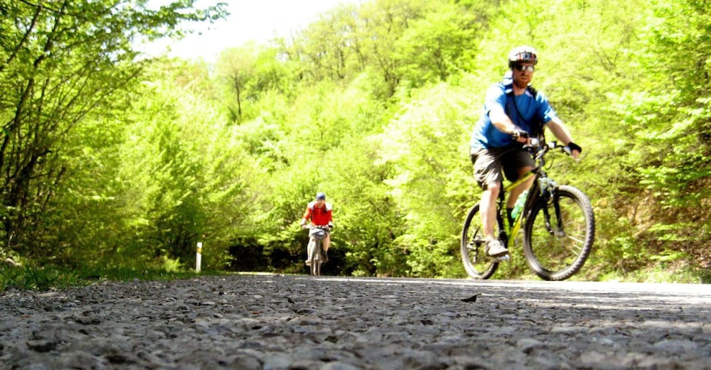 Picture 2 for Activity From Tbilisi: Rkoni Village Cycling Tour