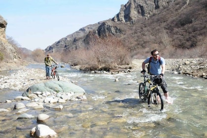 Från Tbilisi: Cykeltur till byn Rkoni