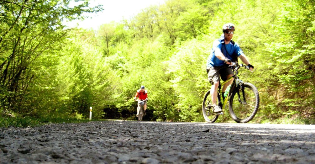 Picture 2 for Activity From Tbilisi: Rkoni Village Cycling Tour