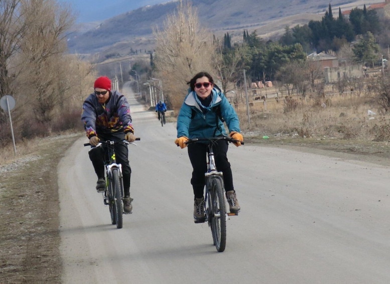 Picture 4 for Activity From Tbilisi: Rkoni Village Cycling Tour