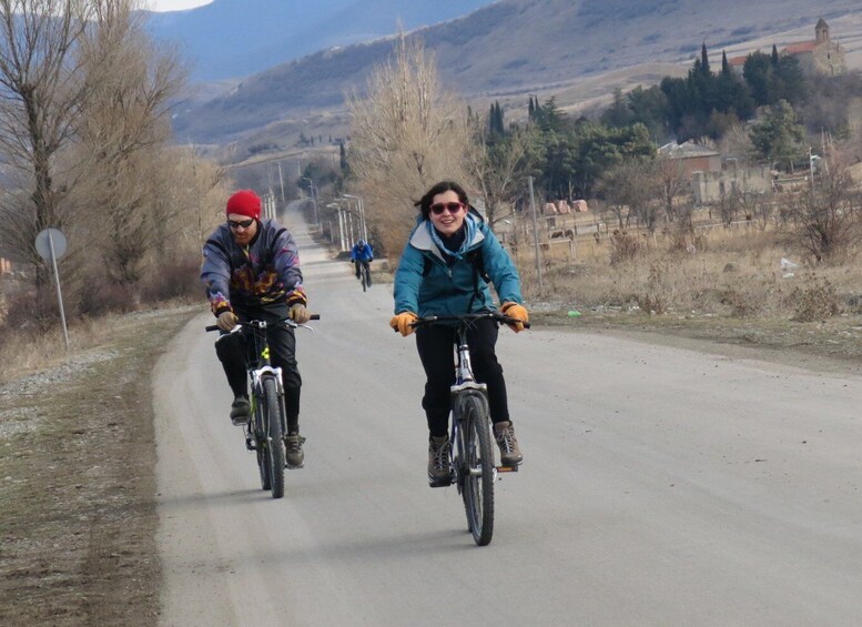 Picture 4 for Activity From Tbilisi: Rkoni Village Cycling Tour