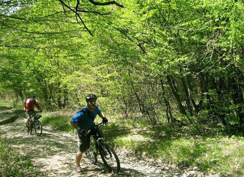 Picture 3 for Activity From Tbilisi: Rkoni Village Cycling Tour
