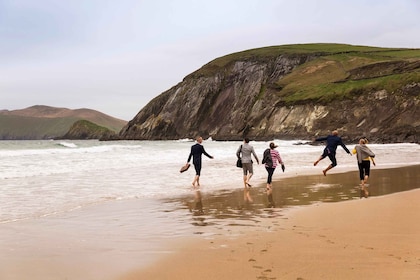 Dingle Day Tour from Limerick