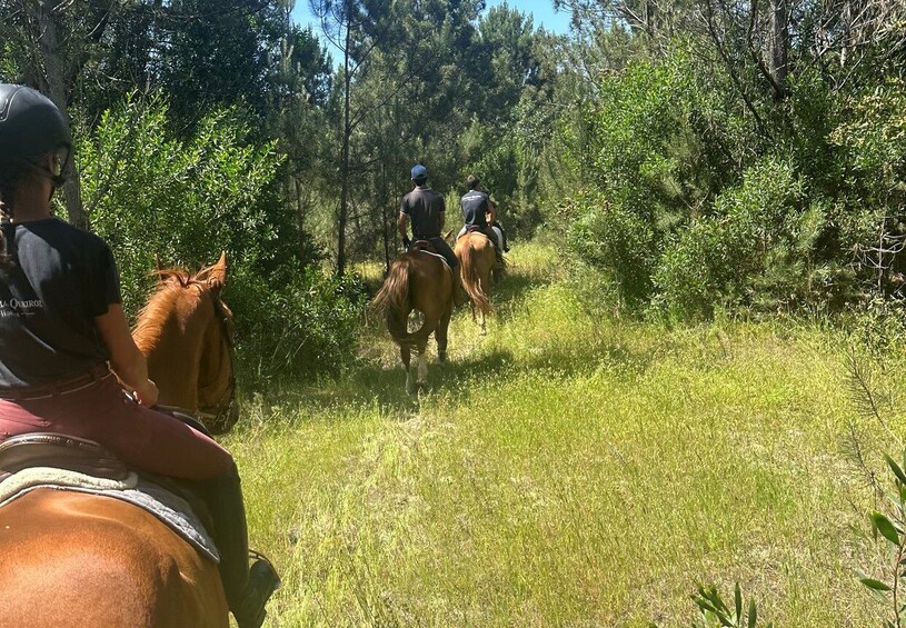 Picture 4 for Activity Aveiro: Horse Riding Experience with Instructor