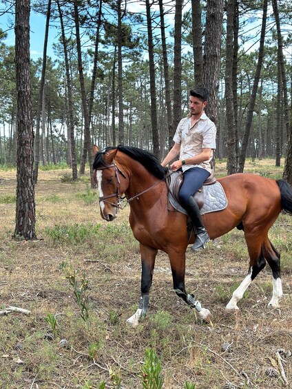 Aveiro: Horse Riding Experience with Instructor