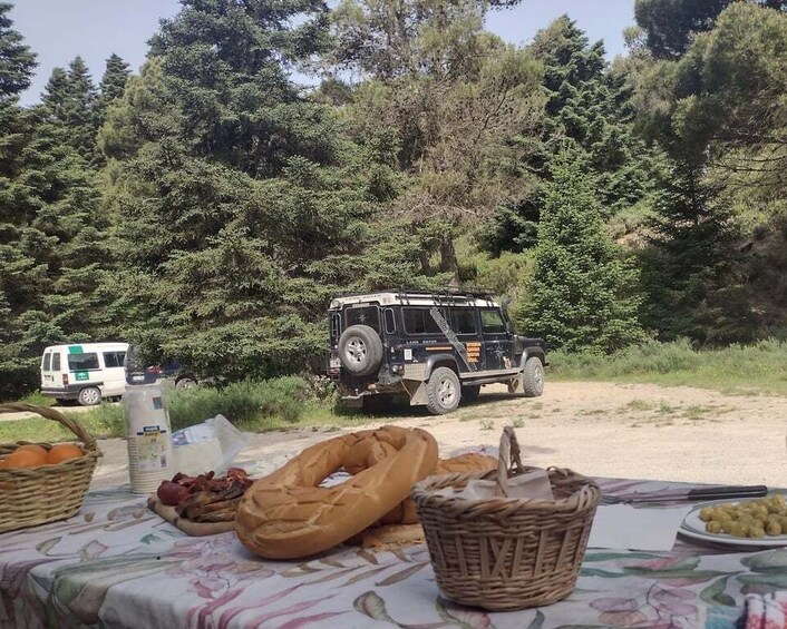 Picture 2 for Activity 4x4 in the heart of the Sierra de las Nieves National Park