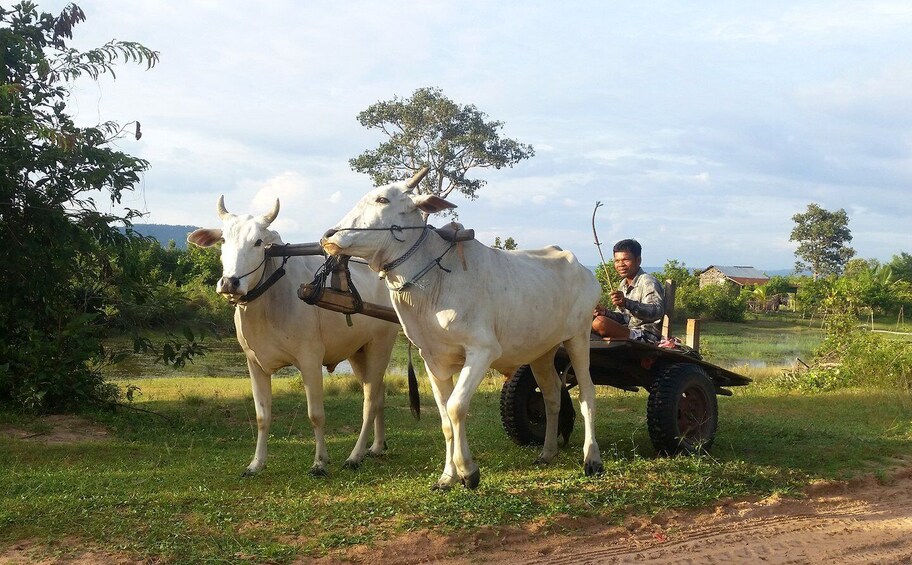 Picture 6 for Activity Siem Reap: 6-Hour Easy Rider Motorbike Tour