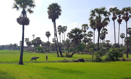 Siem Reap : 6 heures de moto Easy Rider