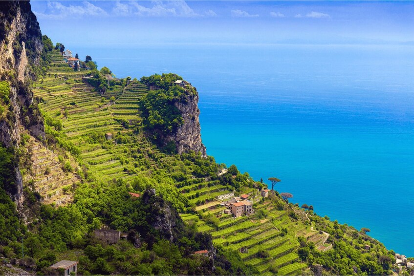 Picture 1 for Activity SALERNO: Easy Hiking Path of Lemons • Maiori Minori Ravello