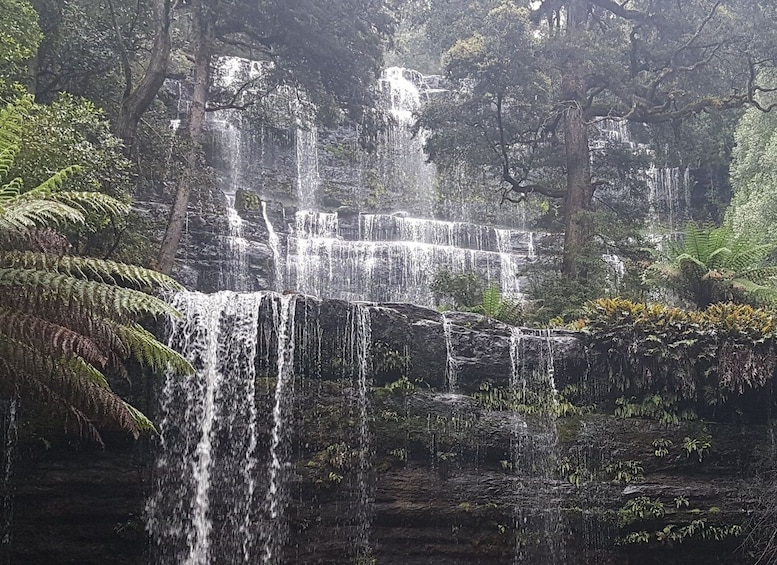 Picture 3 for Activity From Hobart: 2 Day Cradle Mountain Tour