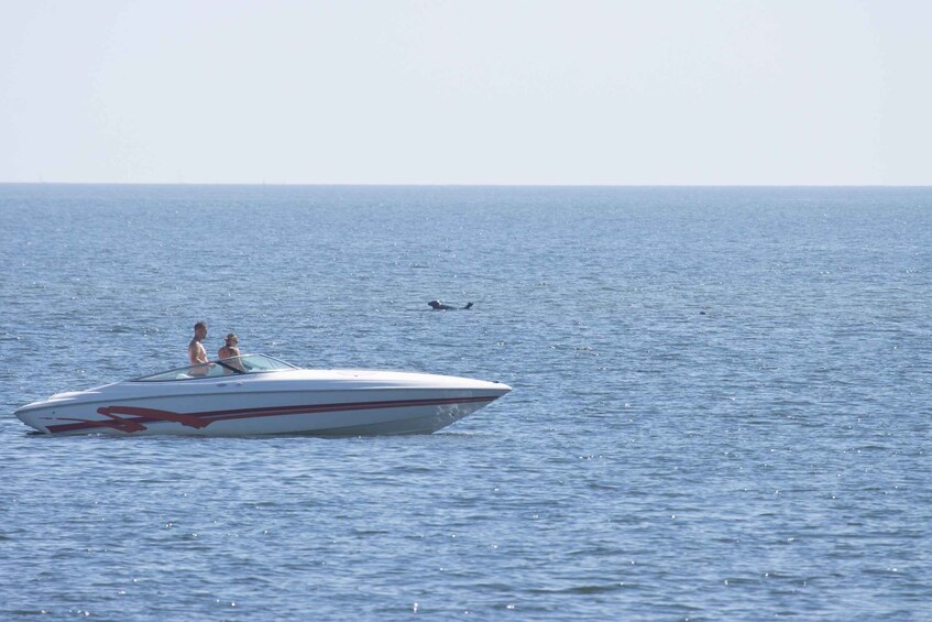 Picture 1 for Activity Baabe on Rügen: Seal-Spotting Cruise in the Baltic