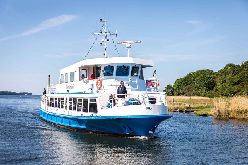 Picture 2 for Activity Baabe on Rügen: Seal-Spotting Cruise in the Baltic