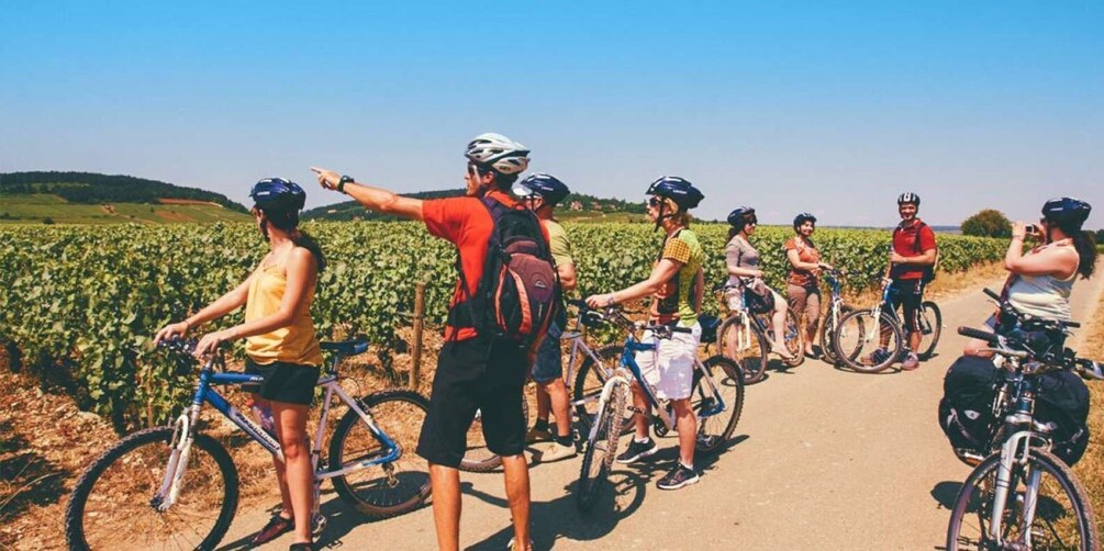 Picture 2 for Activity Bordeaux: Private eBike Tour with Wine Tasting at Chateau