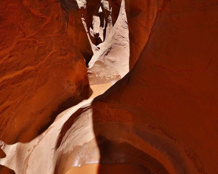 Picture 6 for Activity From Escalante: Dry Fork, Peekaboo & Spooky Slot Canyon Tour