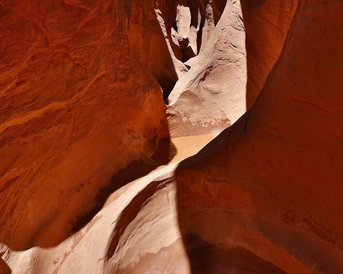 Picture 6 for Activity From Escalante: Dry Fork, Peekaboo & Spooky Slot Canyon Tour