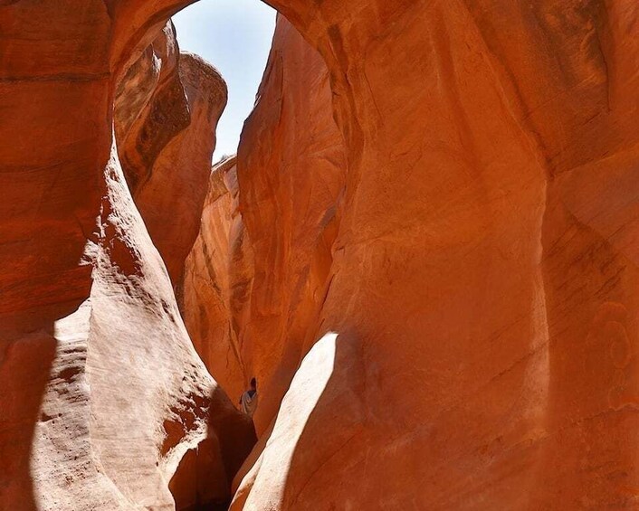 Picture 5 for Activity From Escalante: Dry Fork, Peekaboo & Spooky Slot Canyon Tour