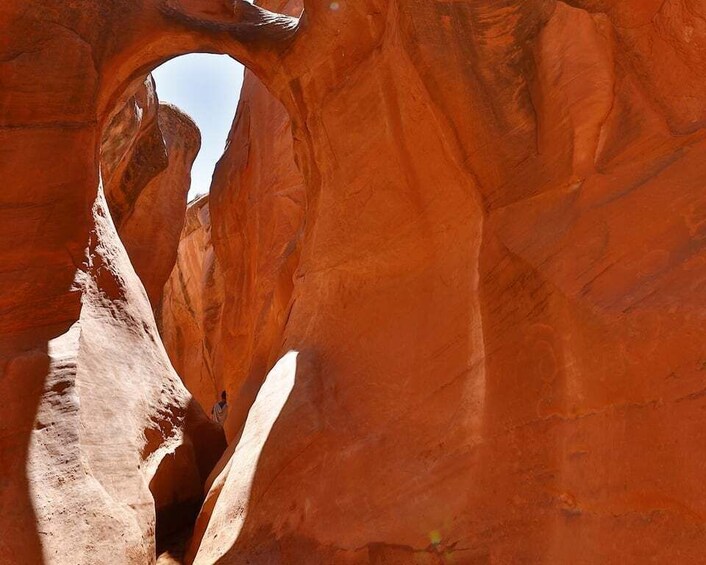 Picture 5 for Activity From Escalante: Dry Fork, Peekaboo & Spooky Slot Canyon Tour