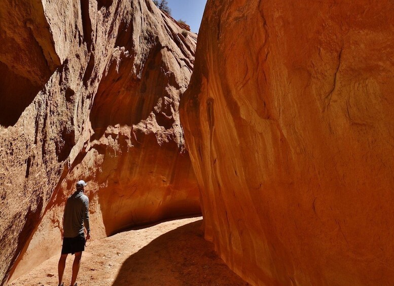 Picture 2 for Activity From Escalante: Dry Fork, Peekaboo & Spooky Slot Canyon Tour