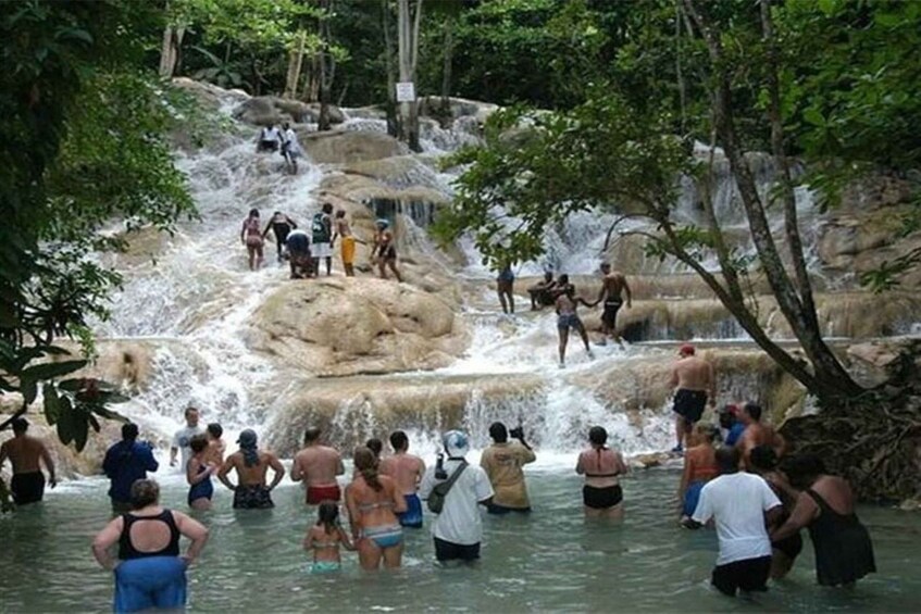 Picture 1 for Activity Montego Bay: Dunn's River Falls and Shopping Guided Tour