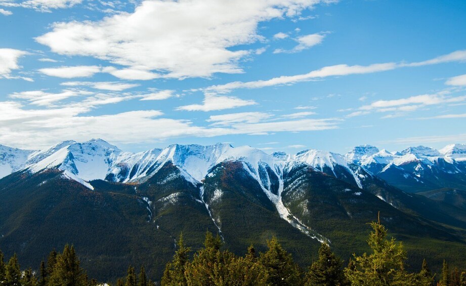 Picture 7 for Activity From Calgary: Deep 1 Day Tour in Banff