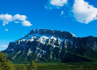 Desde Calgary: Excursión Profunda de 1 Día en Banff