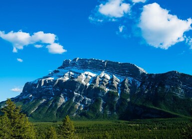 Vanuit Calgary: Diepe 1 daagse tour in Banff