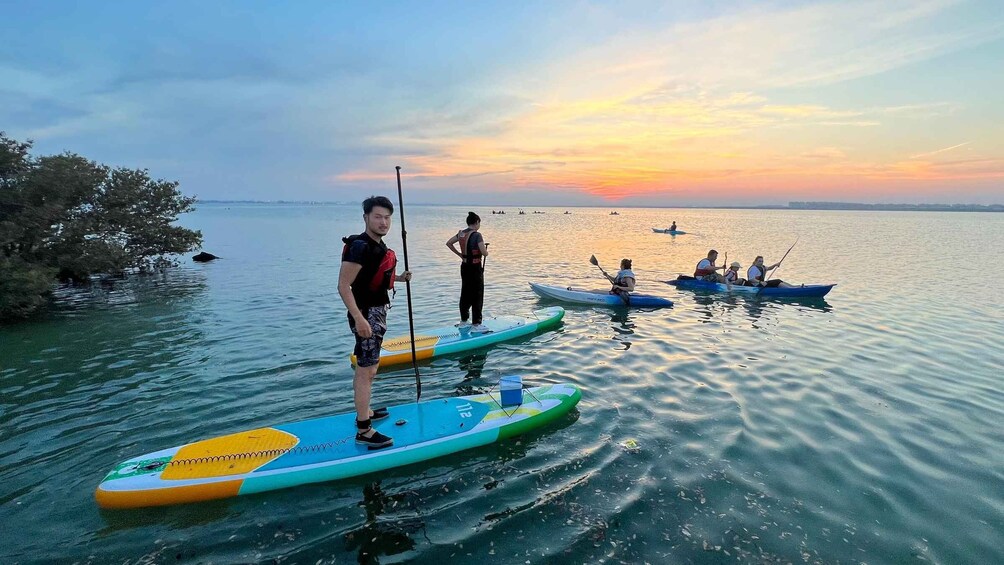 SUP Mangrove Exploration At Purple Island