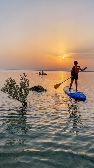 Picture 5 for Activity SUP Mangrove Exploration At Purple Island