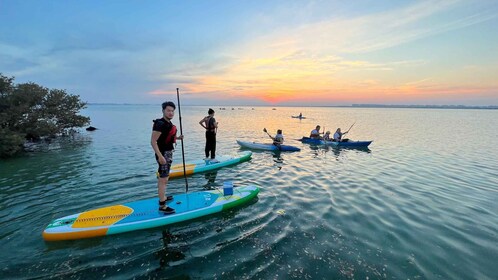 SUP Mangrove Exploration At Purple Island