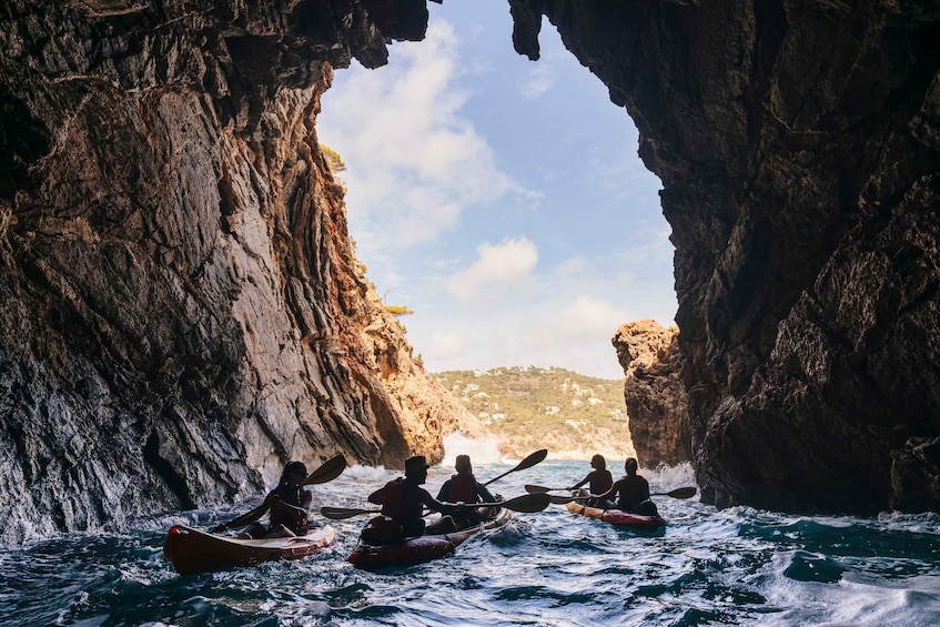 Picture 8 for Activity Es Figueral: Guided Kayaking and Snorkeling Tour