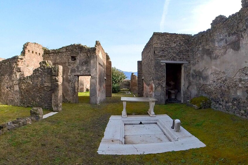 Pompeii: 2 Hours Skip the Line Visit with a Licensed Guide