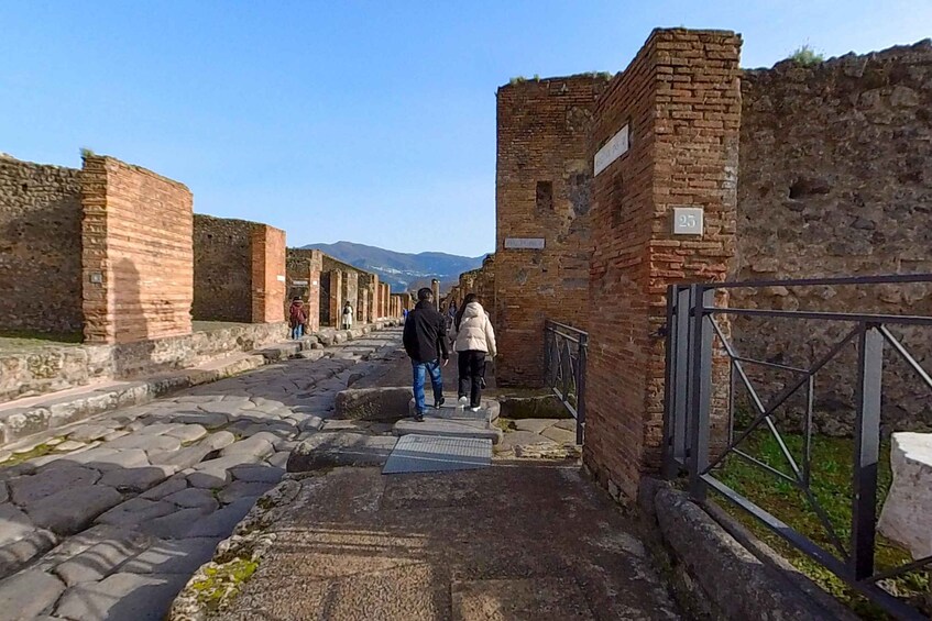 Picture 7 for Activity Pompeii: 2 Hours Skip the Line Visit with a Licensed Guide