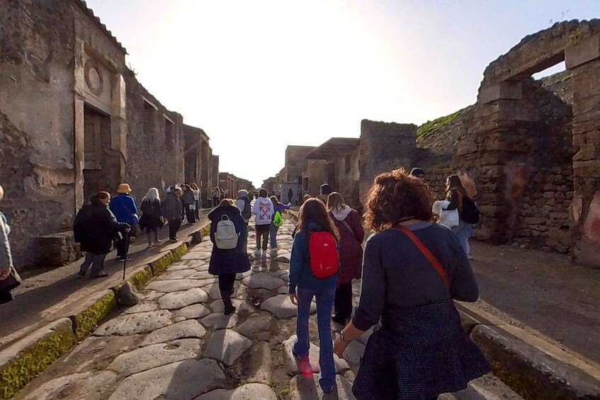 Picture 3 for Activity Pompeii: 2 Hours Skip the Line Visit with a Licensed Guide