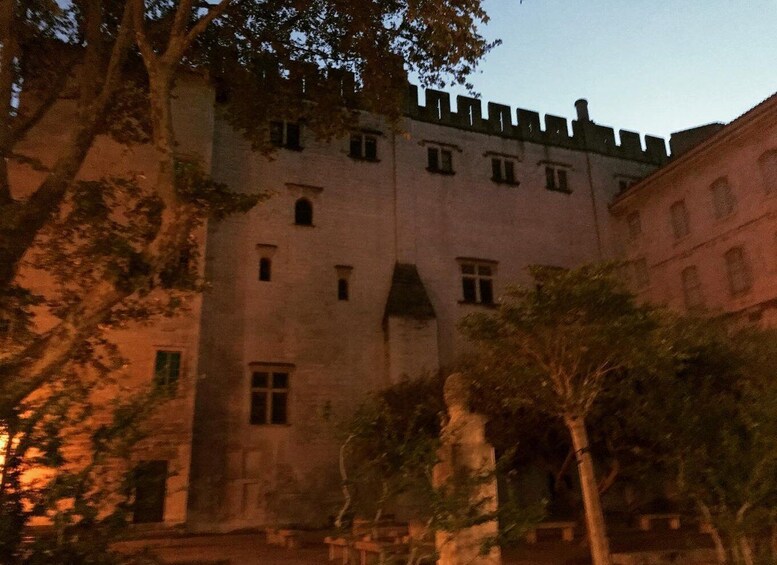 Picture 3 for Activity Avignon: All About Avignon Tour