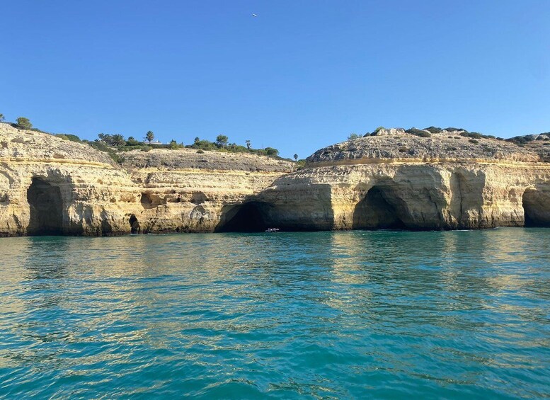 Picture 3 for Activity Private Sailing Tour Charter Lagos - Algarve