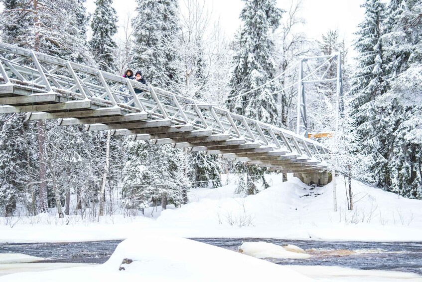 Picture 7 for Activity From Rovaniemi: Private Photoshoot in the Lappish Wilderness