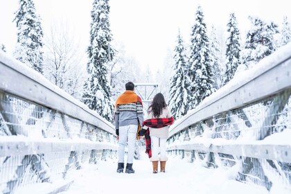 Desde Rovaniemi: Sesión de fotos privada en la naturaleza lapona