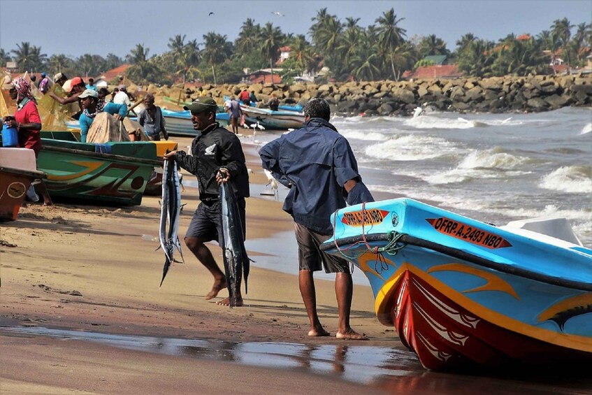 From Colombo: Hikkaduwa Village Tour with Boat Ride & BBQ