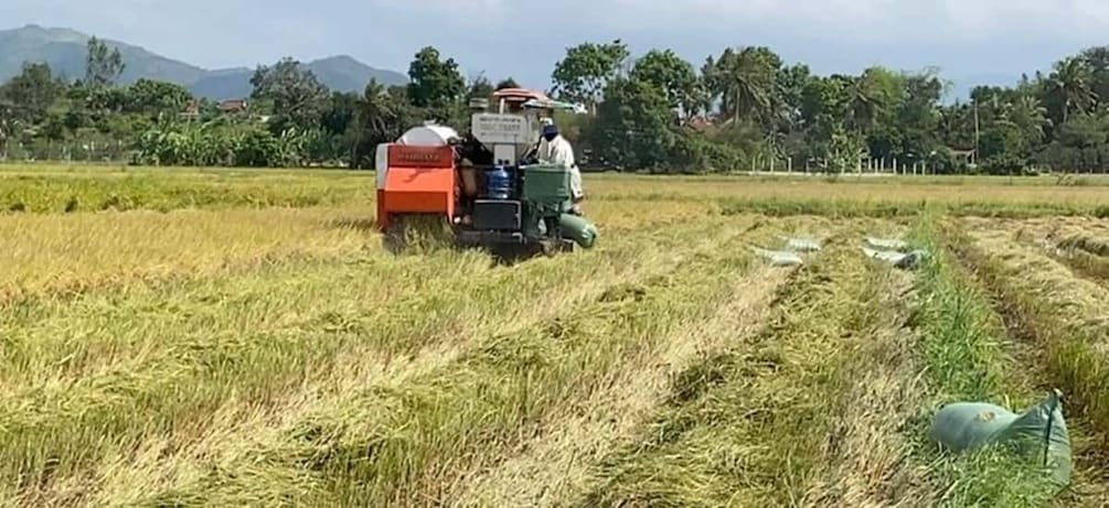 Biking tour: Nha Trang countryside