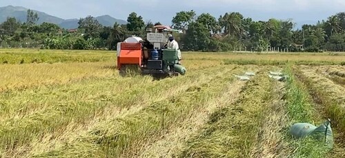 Biking tour: Nha Trang countryside