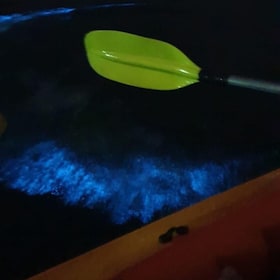Magical Bioluminescence plankton tour